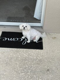 She really enjoyed the stay too!