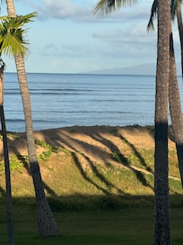 Beautiful morning