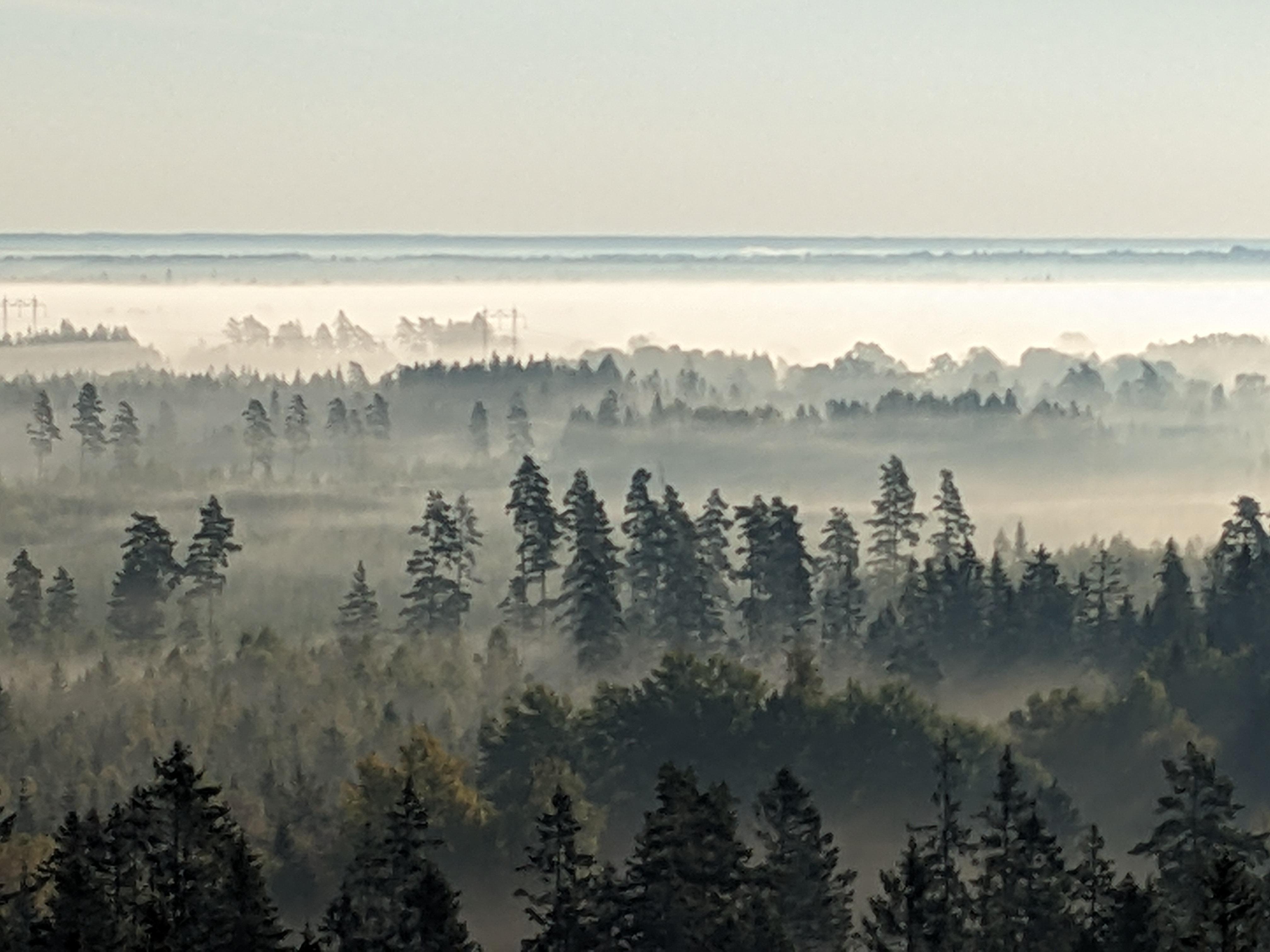 Morgondimman sedd från Eko-tornet