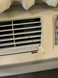 The mold growing on the AC