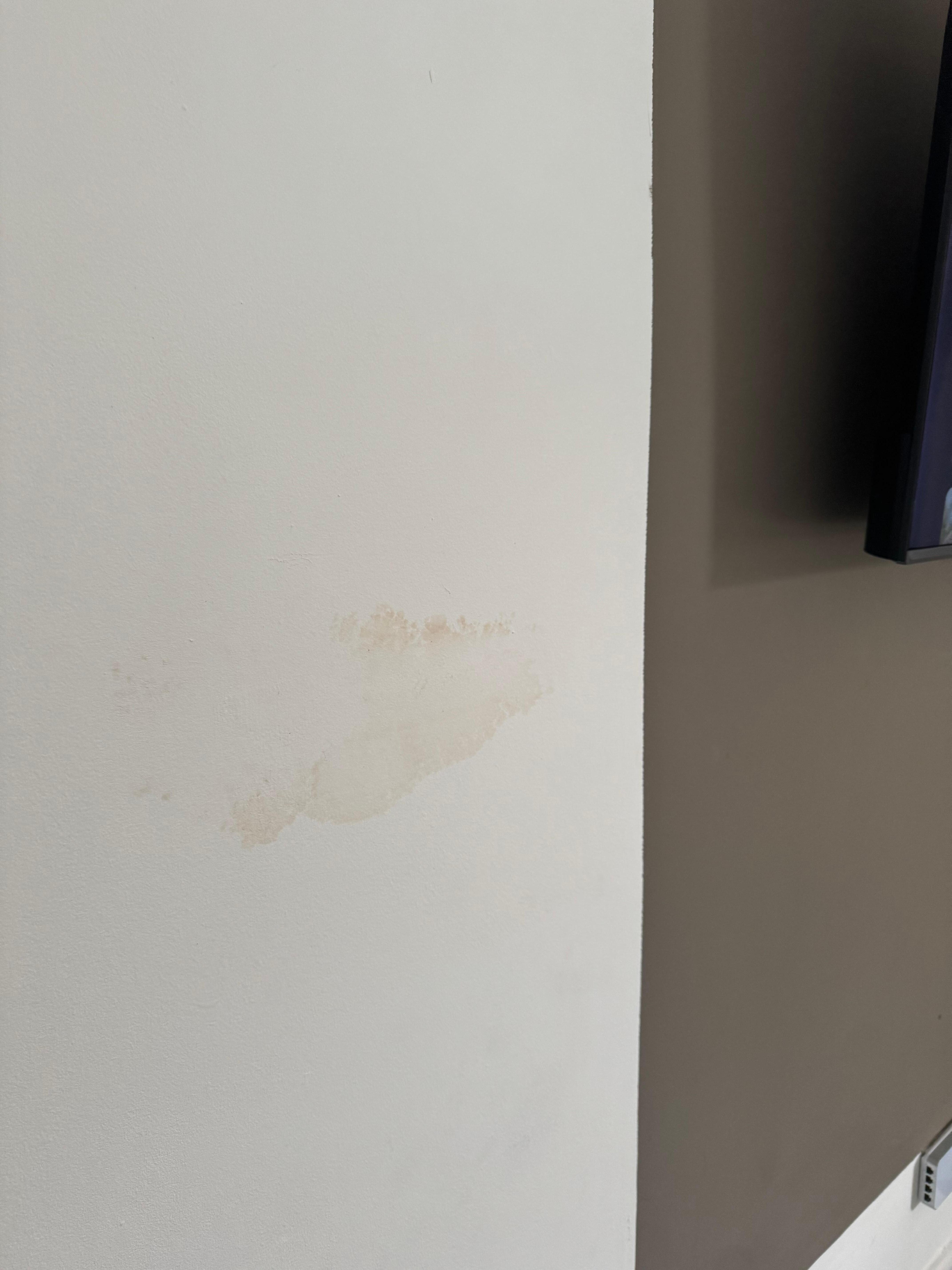 Dirty Walls