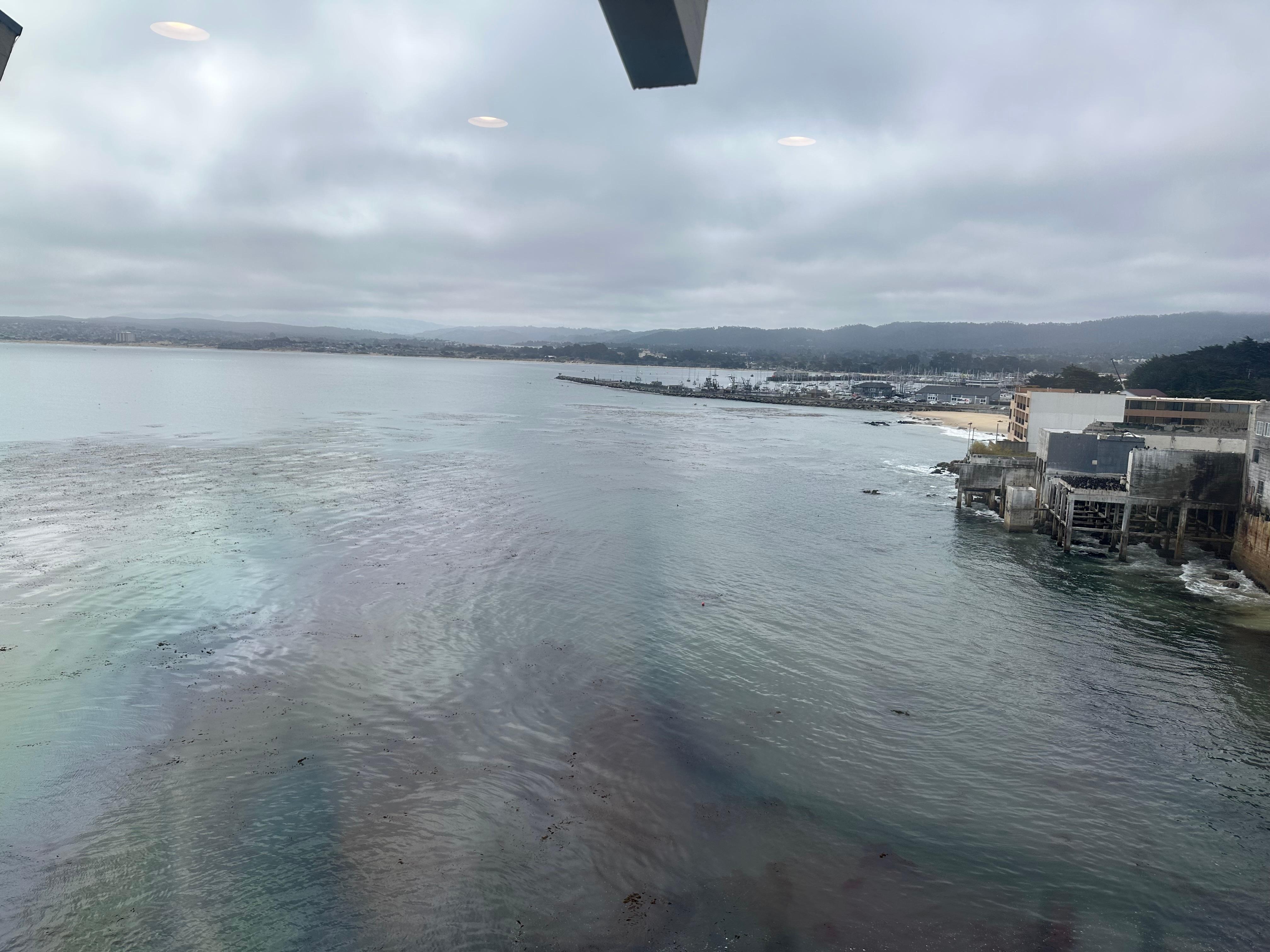 View from the spa and workout room 