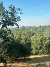 View from the back porch
