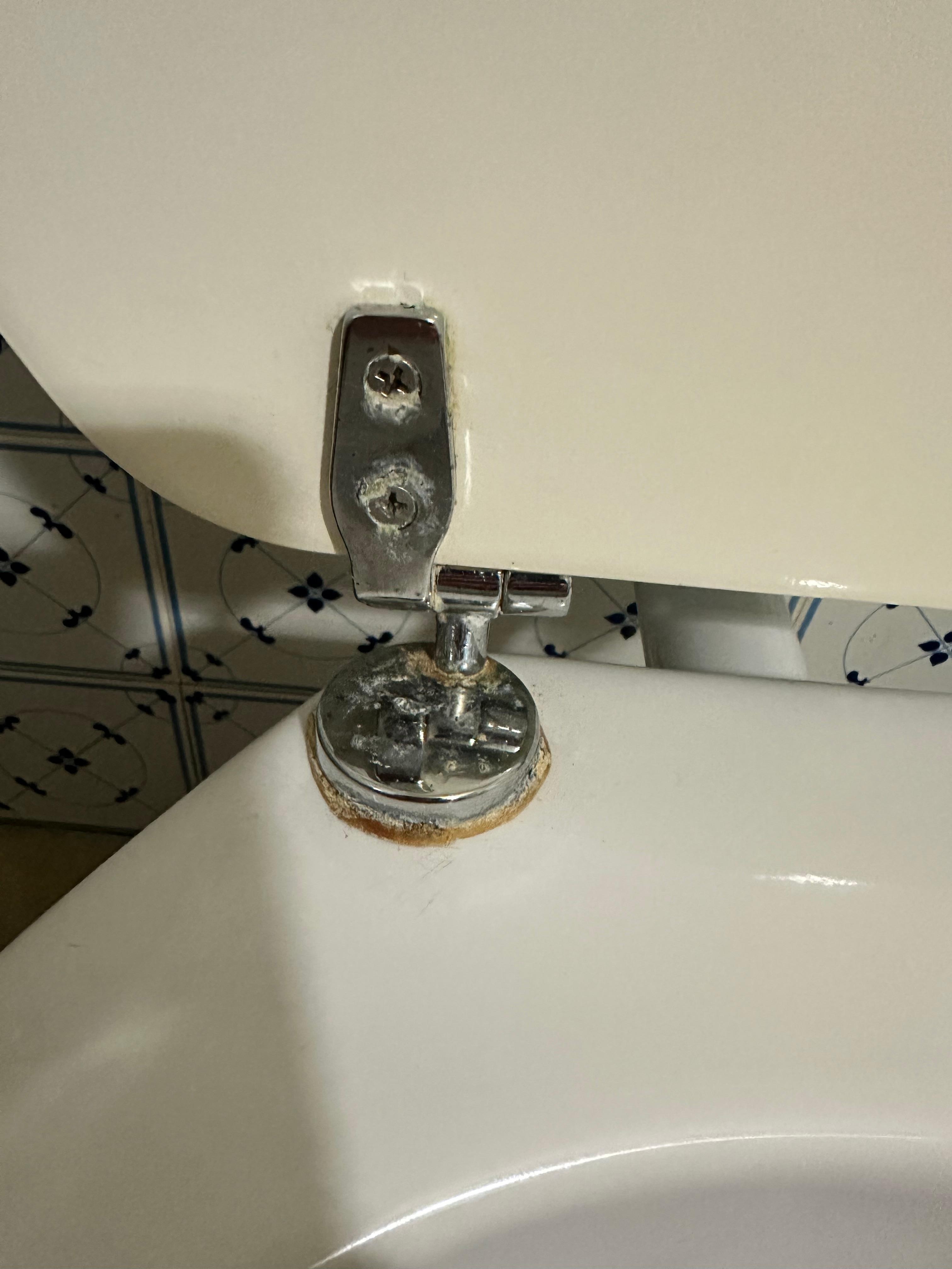 Dried pee , very dirty toilet 