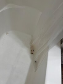 Mold in bathroom