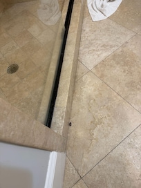 Cockroaches in bathroom