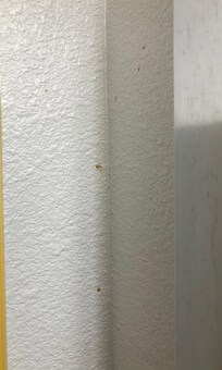 The blood like stains on the restroom walls!!