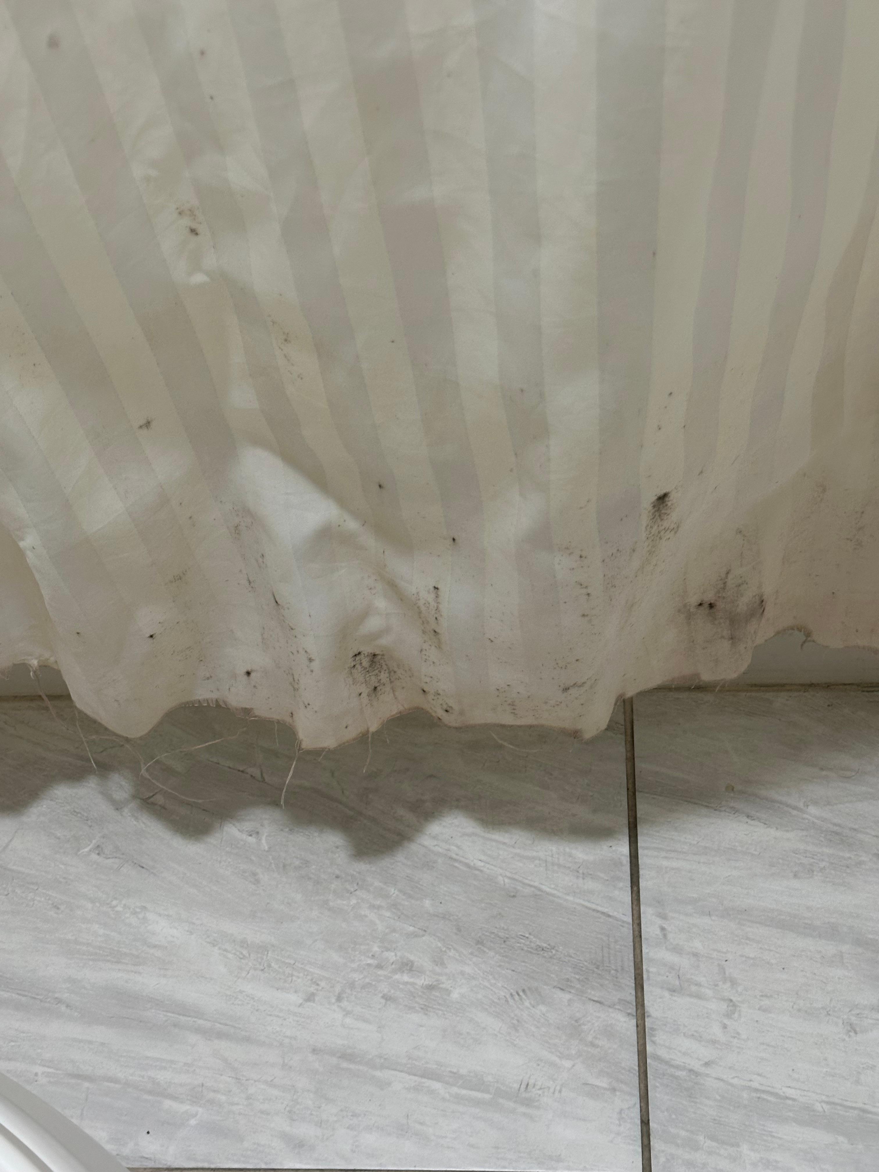 Mold on shower curtain