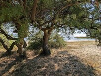 Près du port d'Audenge