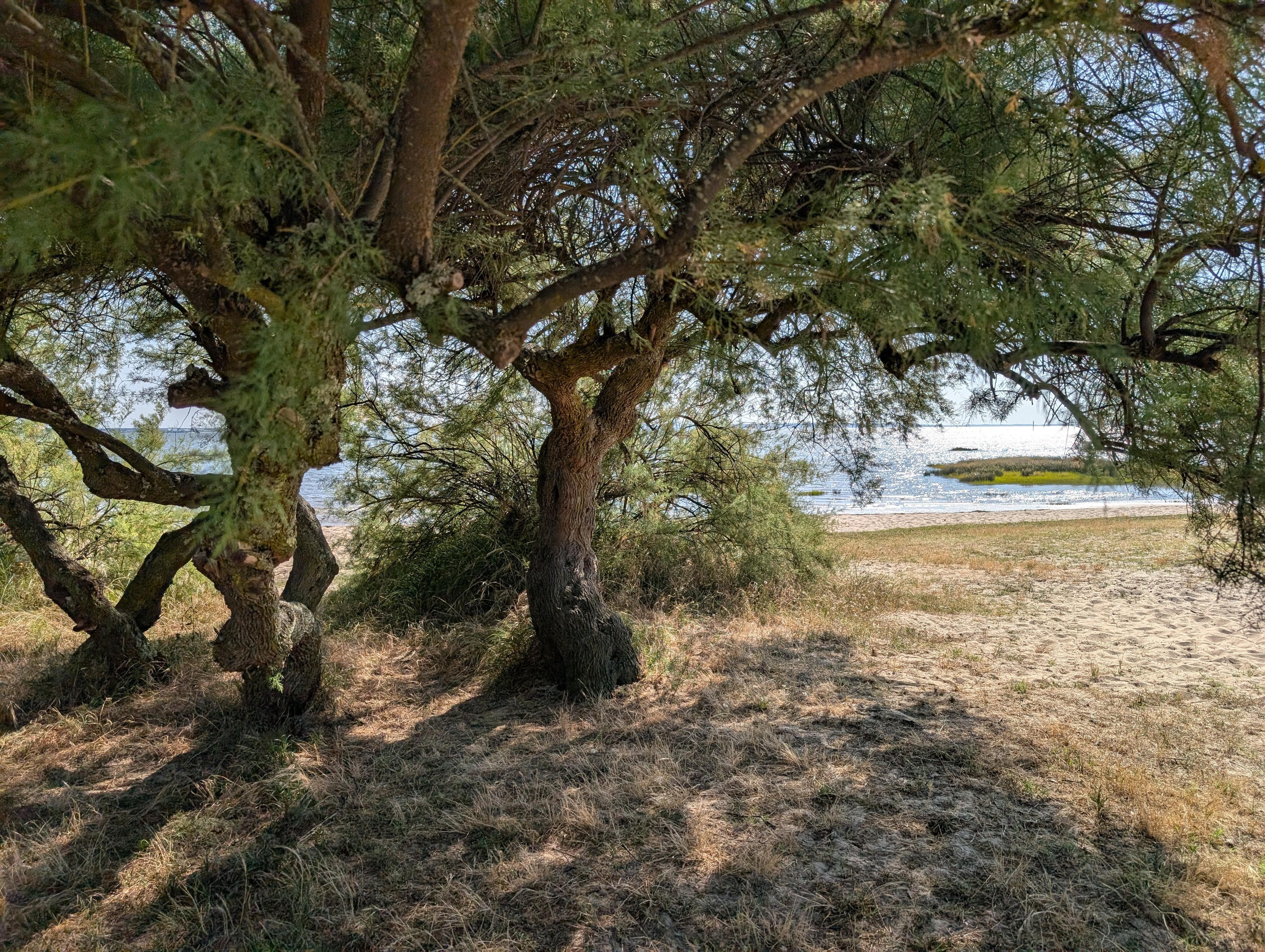 Près du port d'Audenge 