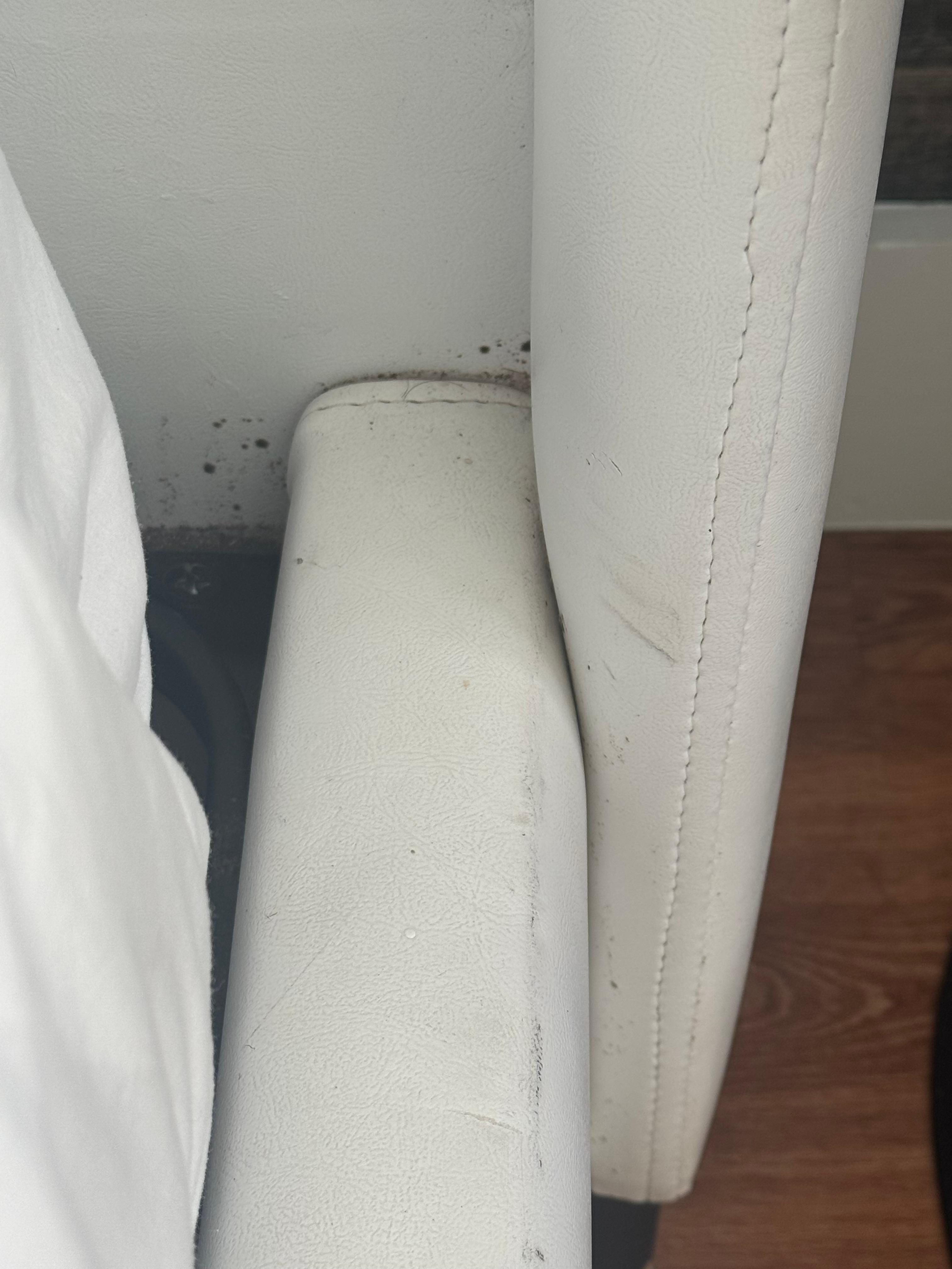 Mold on bed