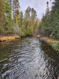 View upstream of Big Creek at the cabin.
