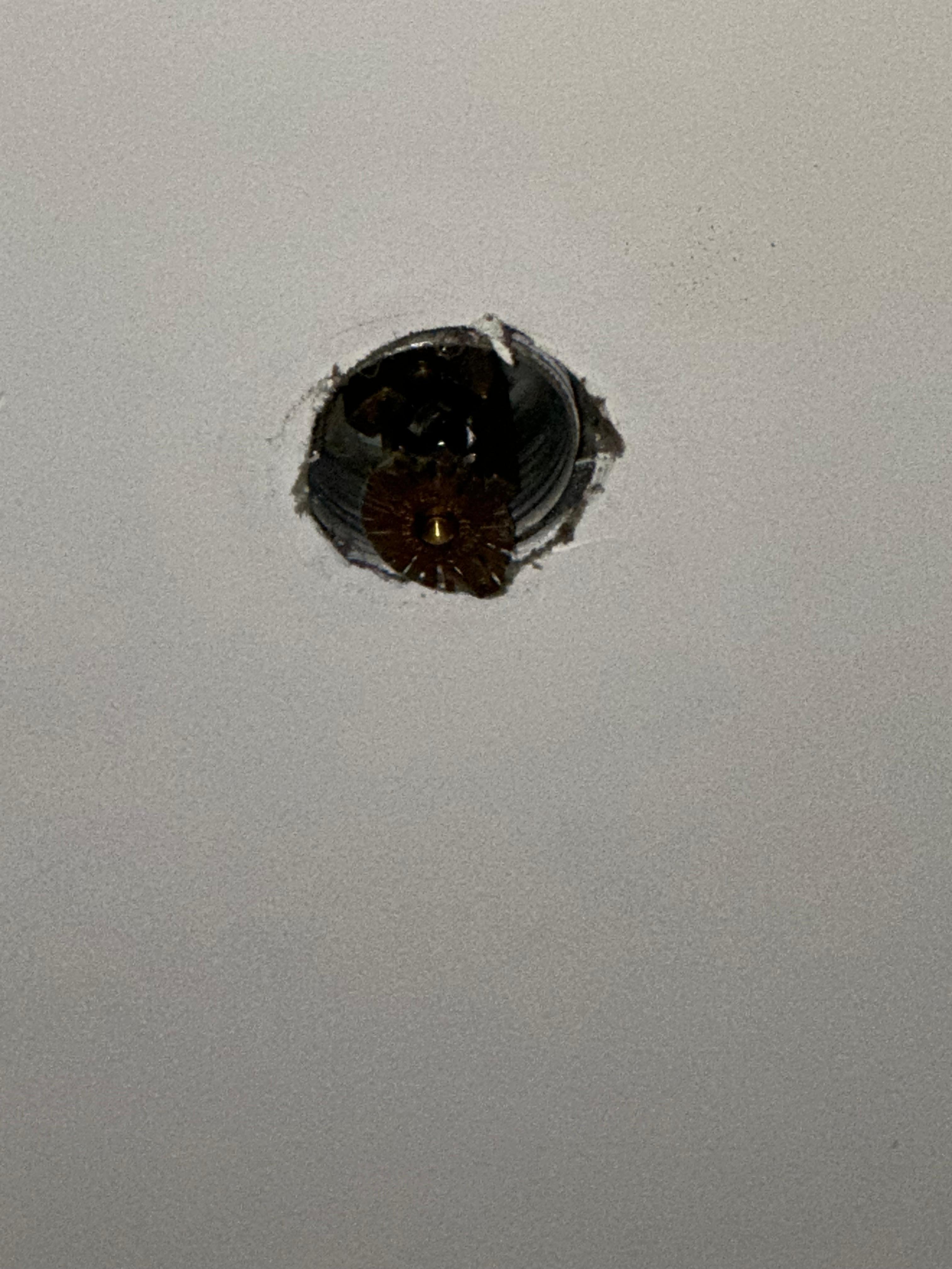 Right above my daughters bed and listening to her ask me what the scary thing is above her-gross and lazy, and scary actually!