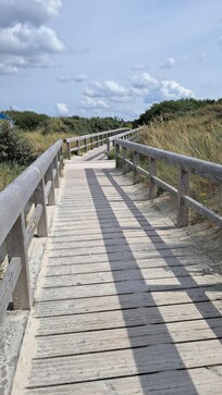 Dann über Planken durch die Dünen