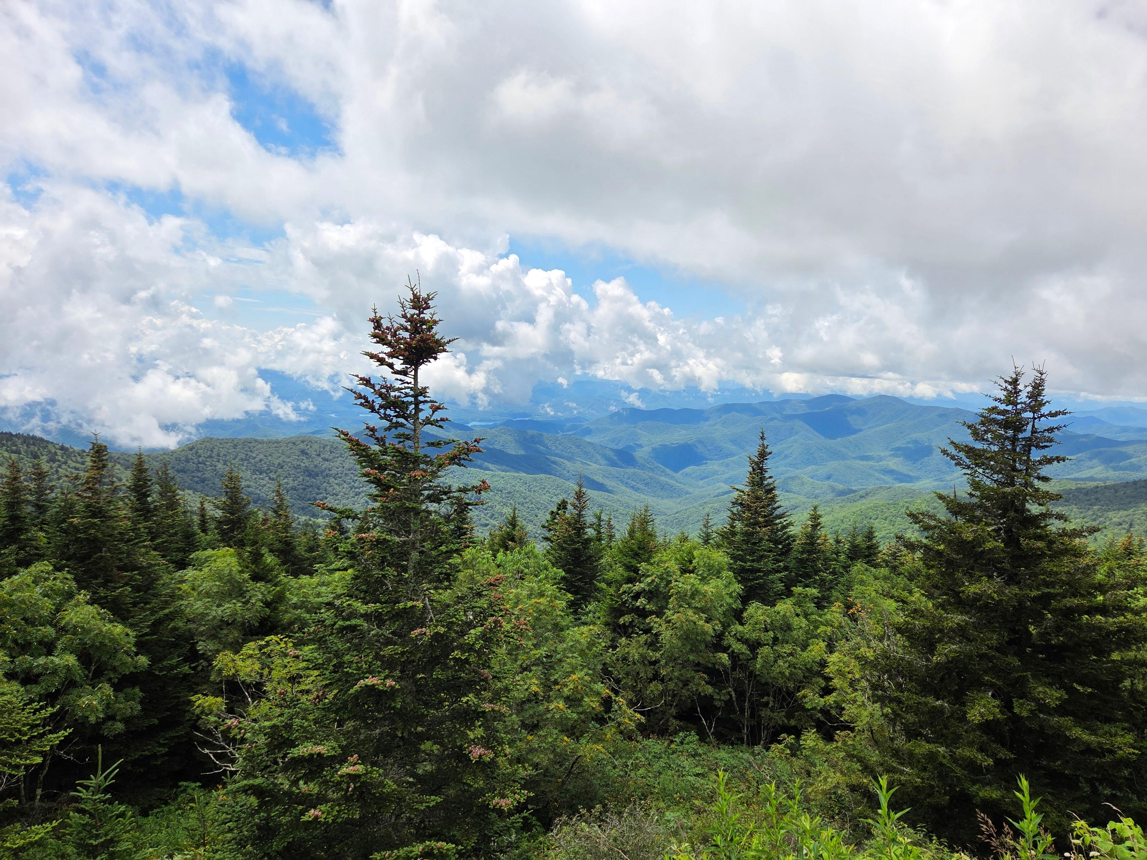 A view from within the national park