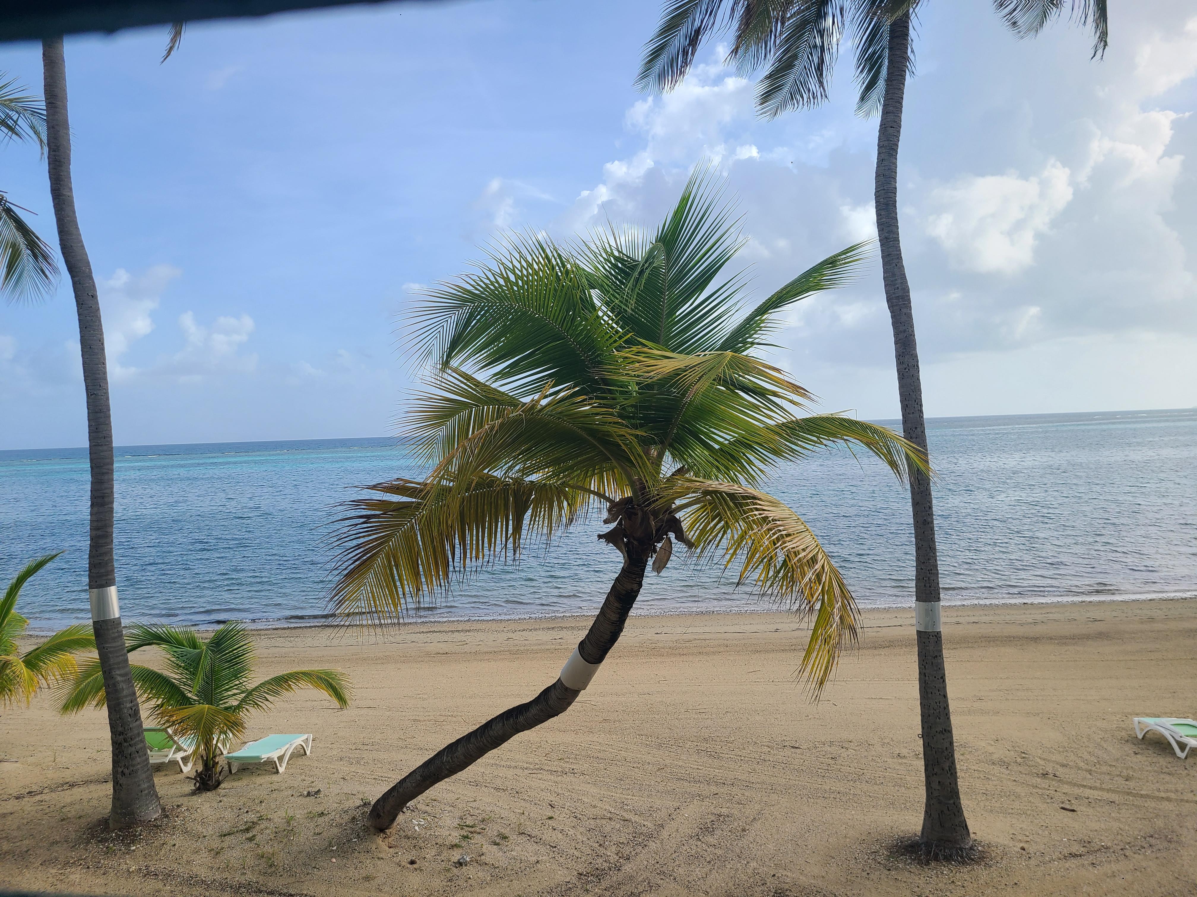 View from patio. Perfect for morning coffee!