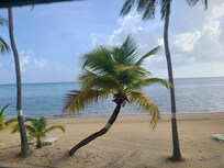 View from patio. Perfect for morning coffee!