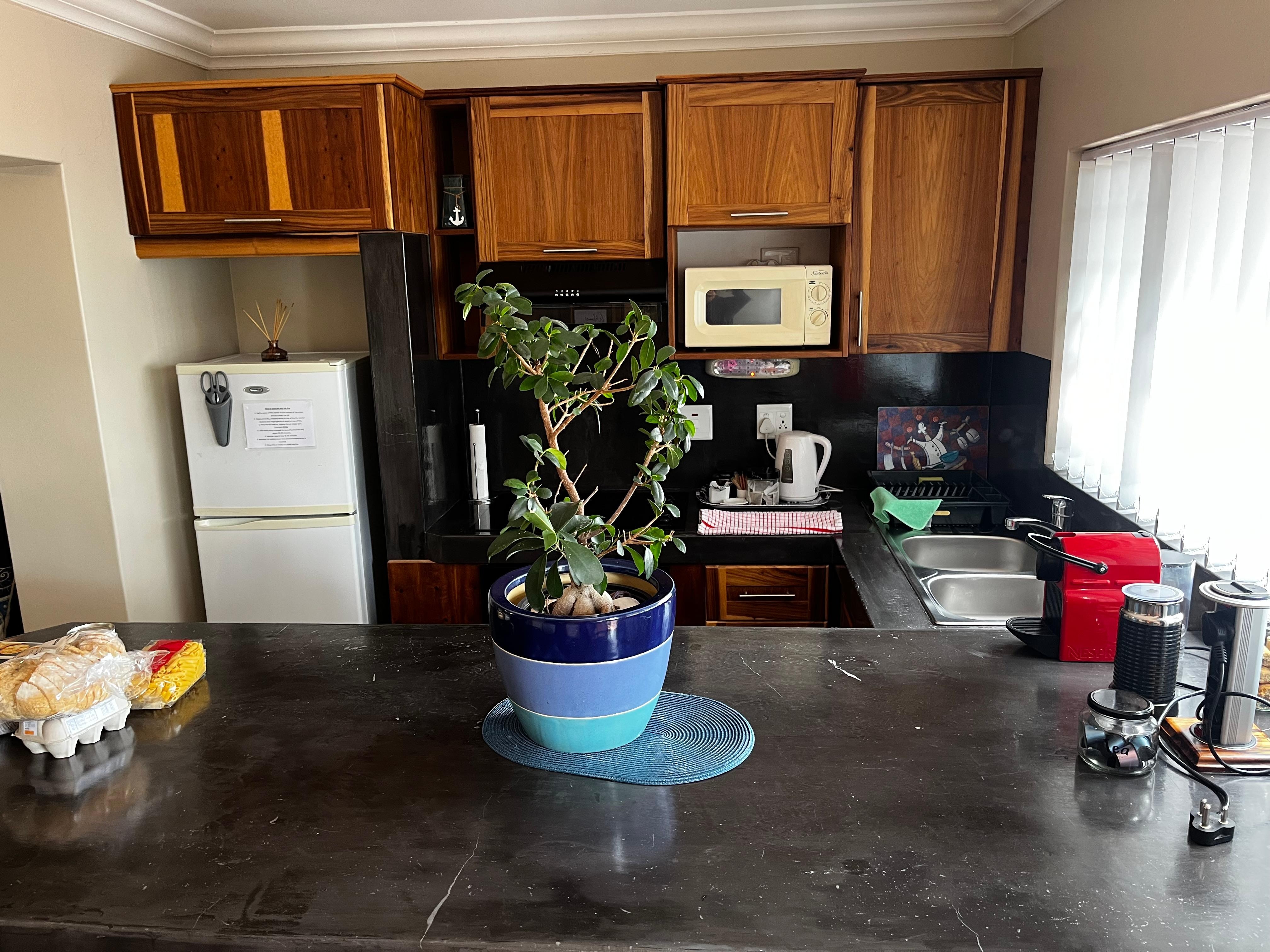 Kitchen was well equipped 