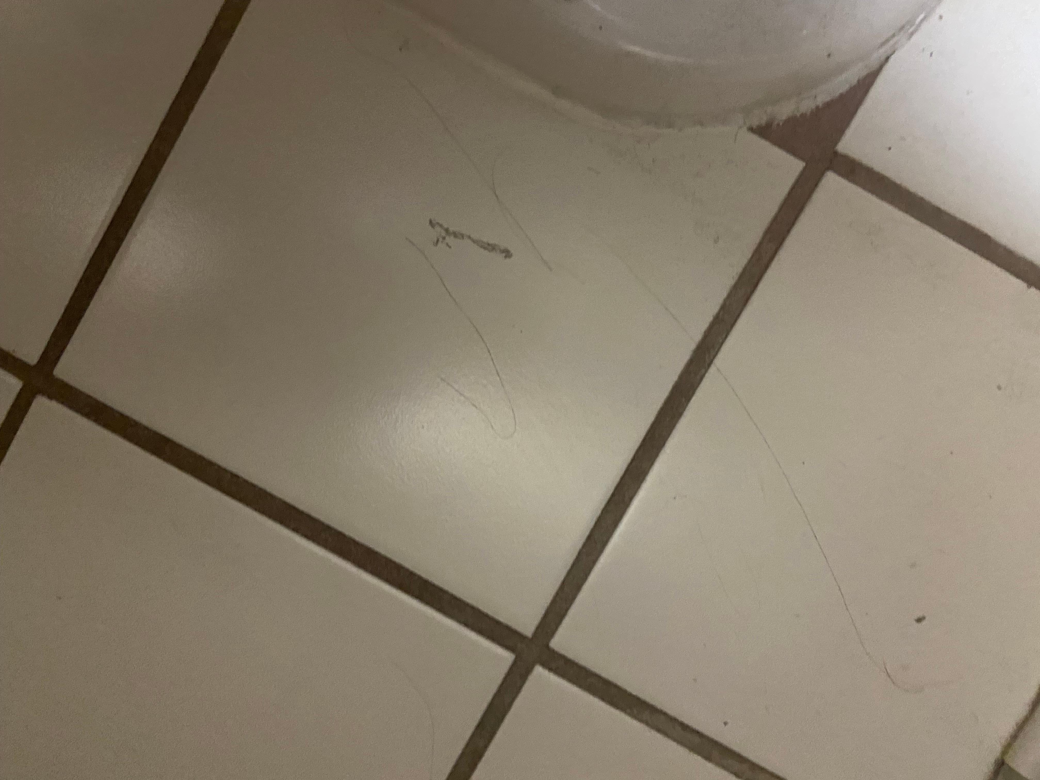 Hair on floor around toilet