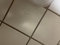 Hair on floor around toilet