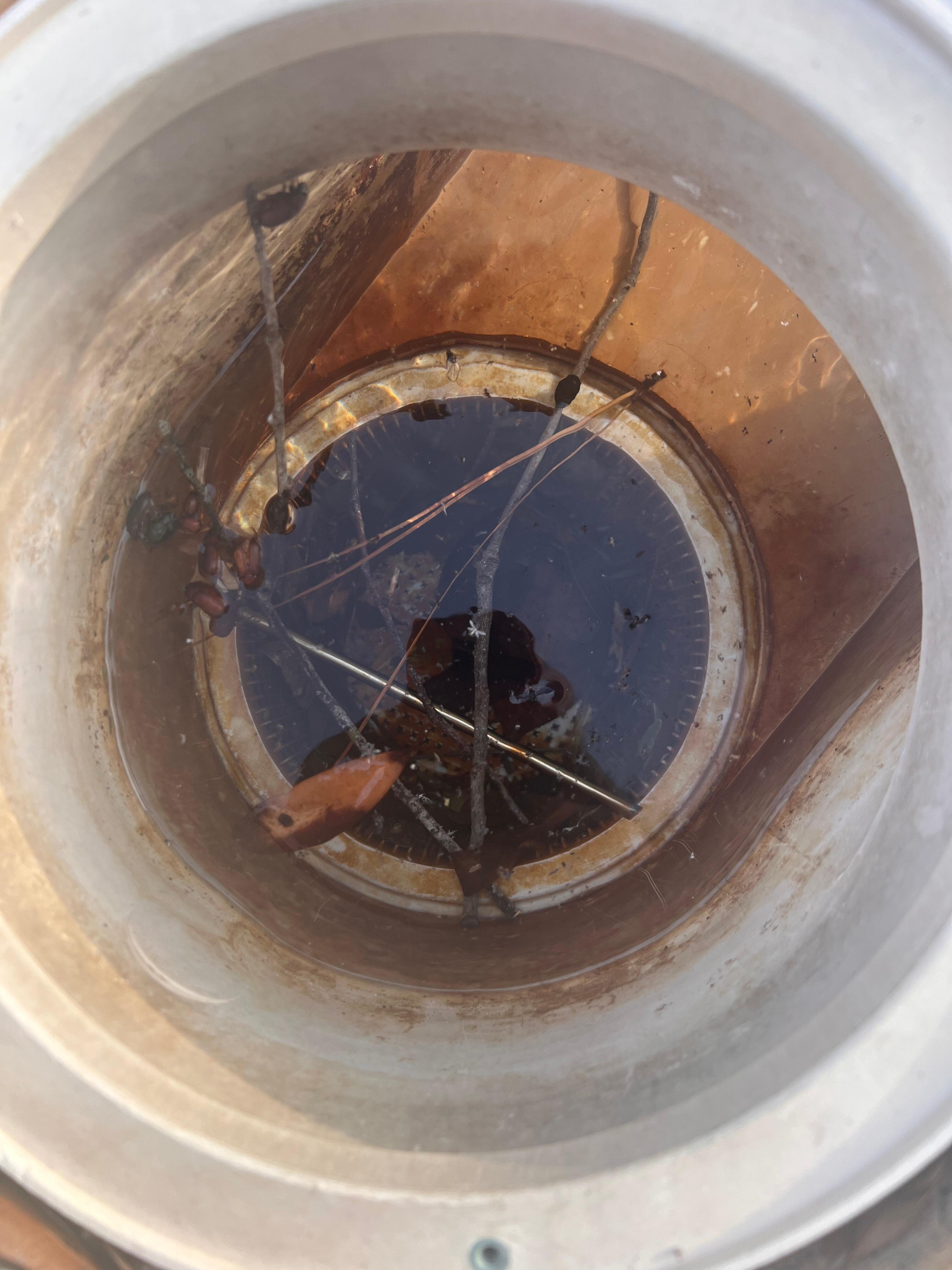 Pool filter
