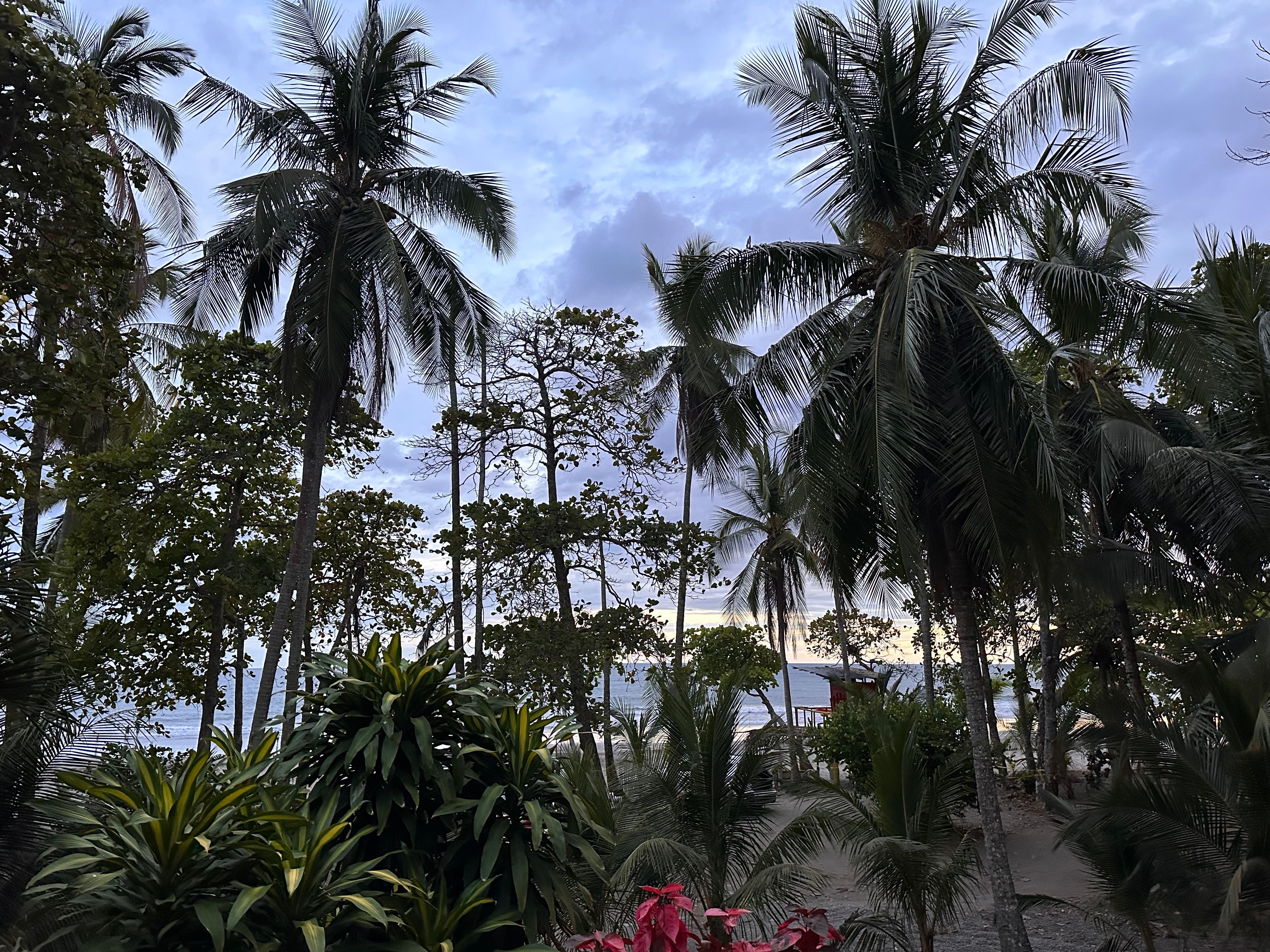 Sunset from the balcony 