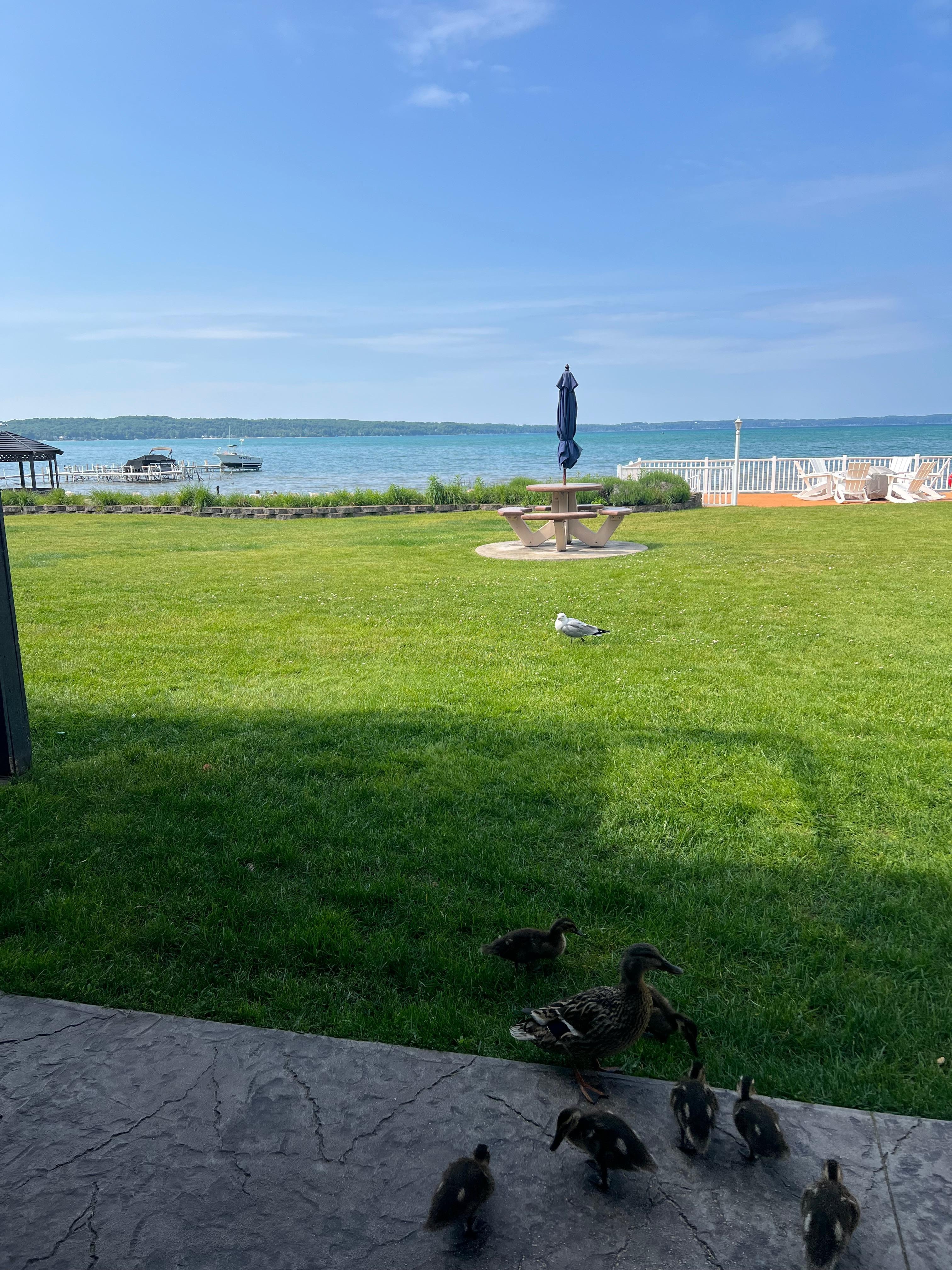 The view from our walk out room.