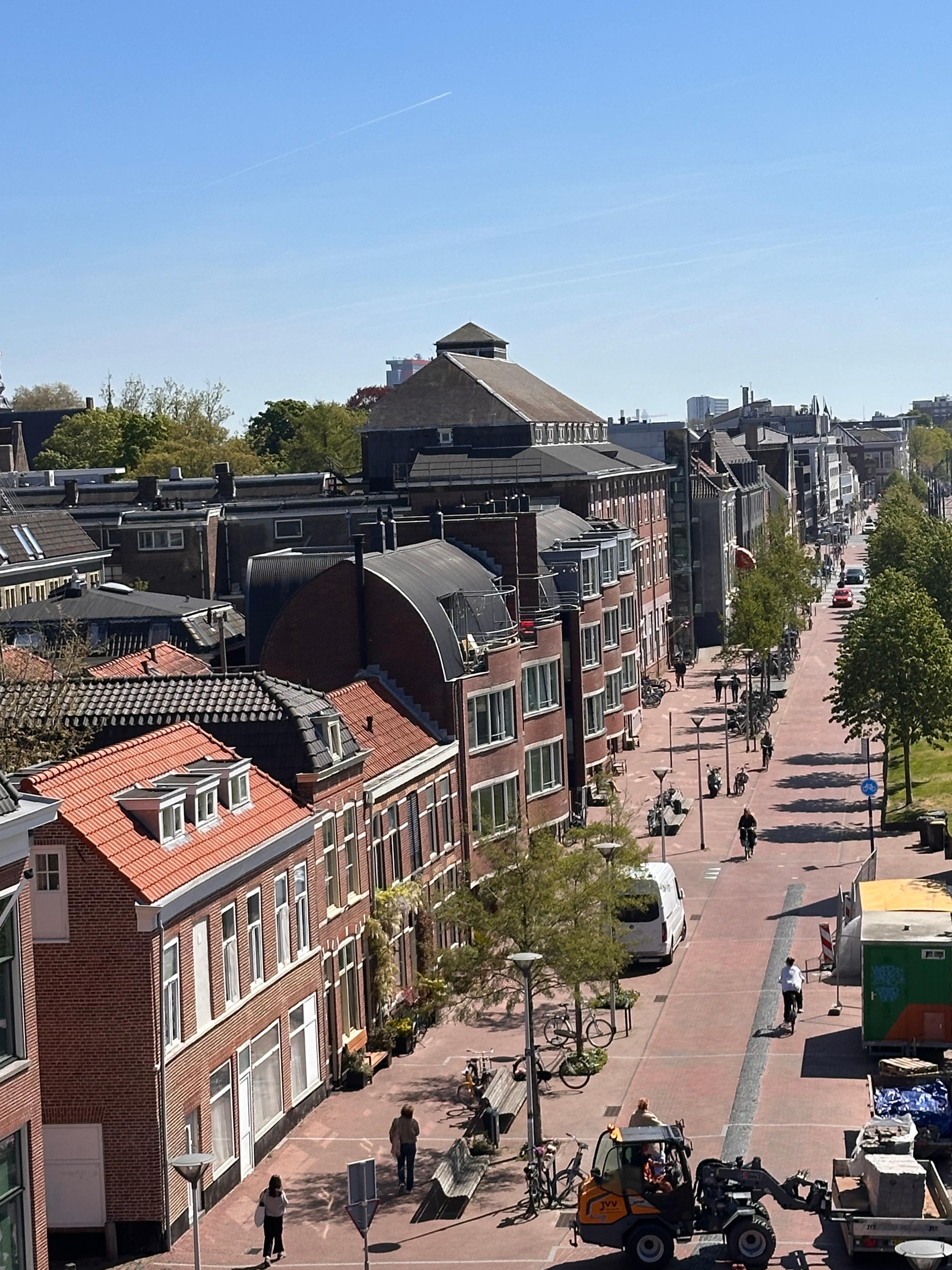 View from the top of the windmill 