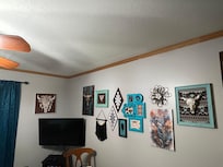 Just a small sample of the multiple cow skull decorations