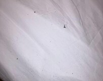 Dirt in bedsheets