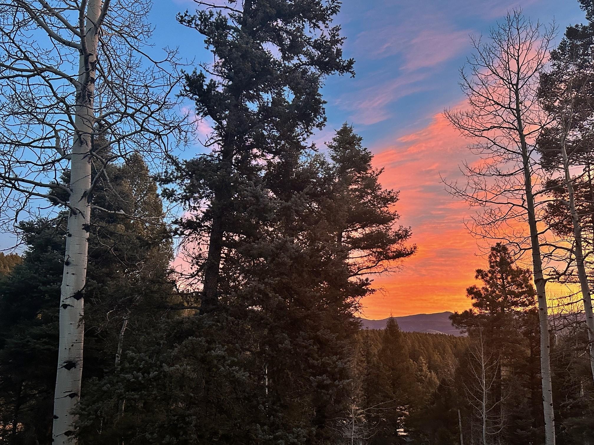 December 2025 sunrise 