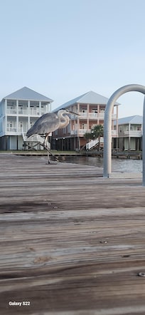 This guy kept visiting the dock