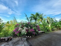 Vue depuis le logement