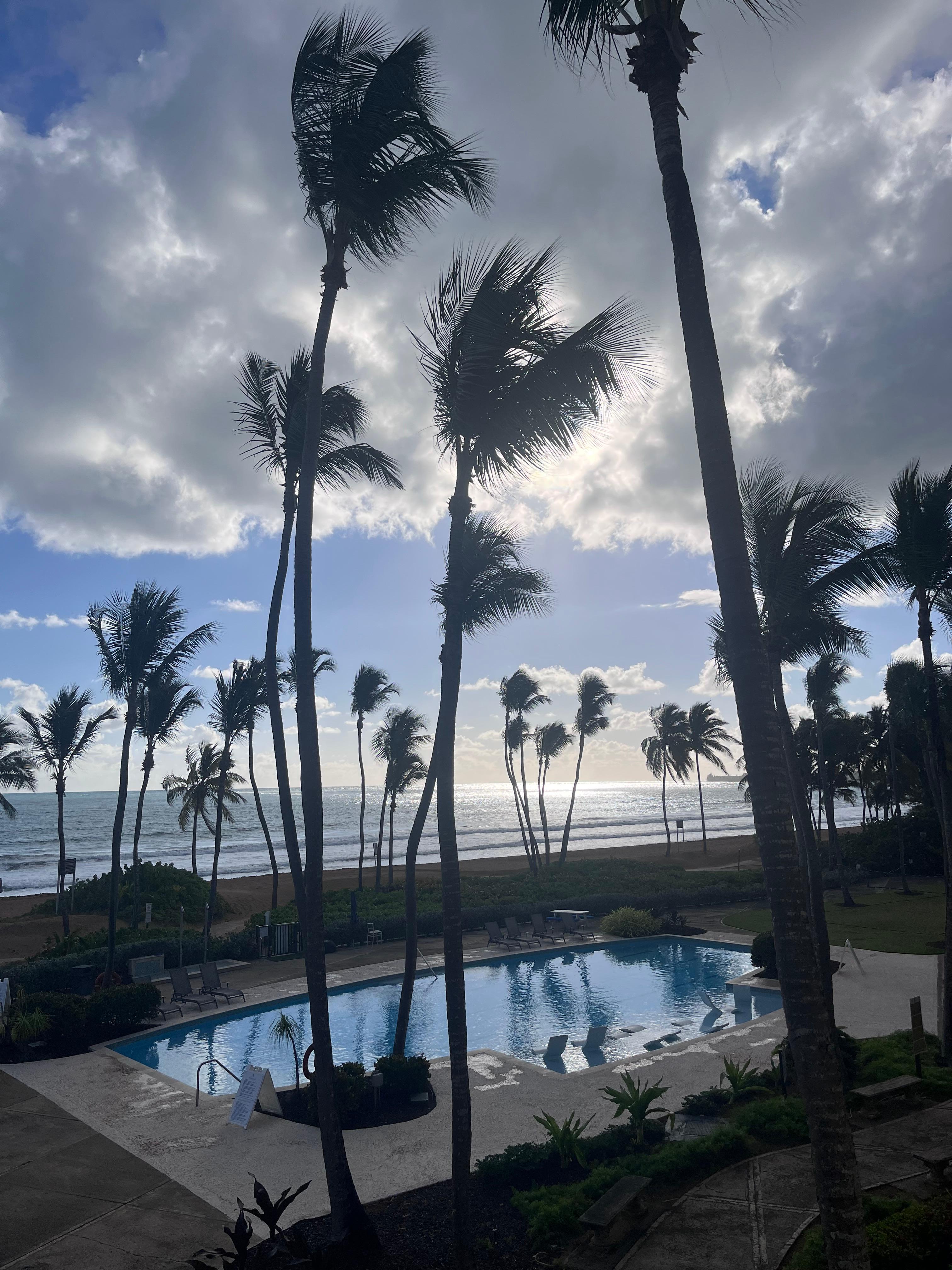 View from the balcony. 