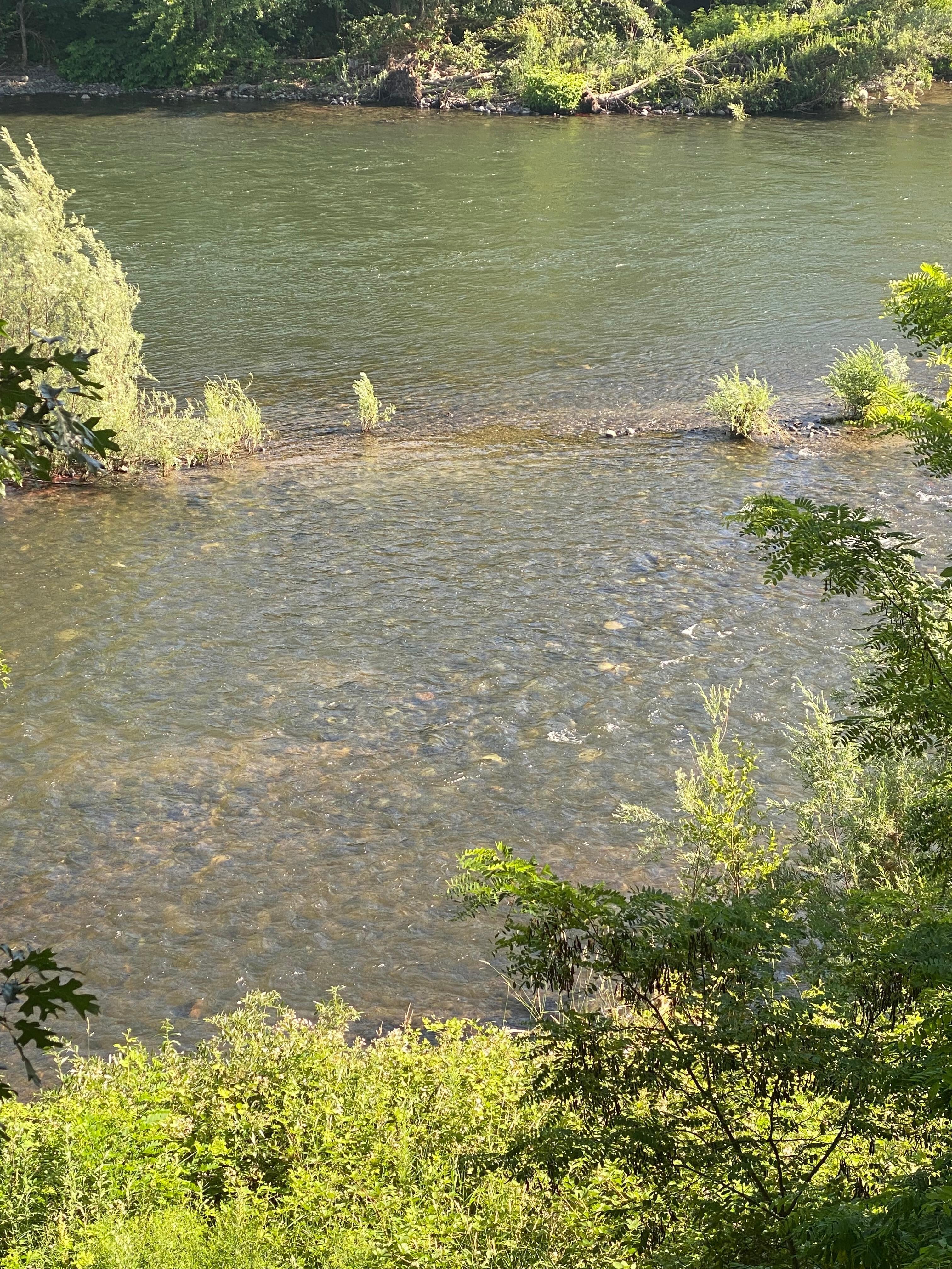 View of Rogue River from our room