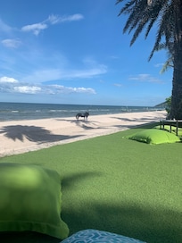View from hotel of beach