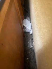 Garbage plastic glass