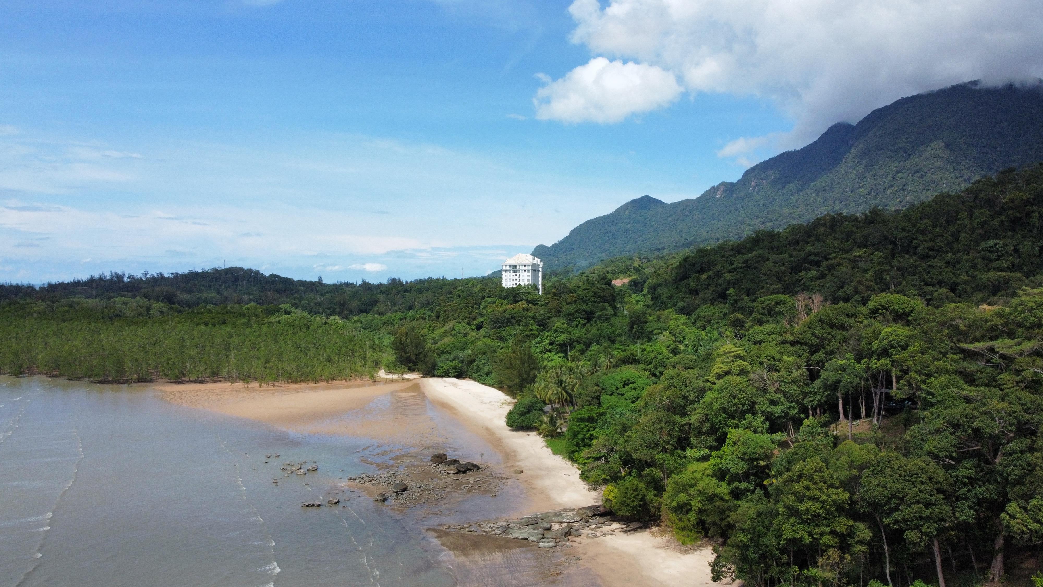 Aerial view of beach