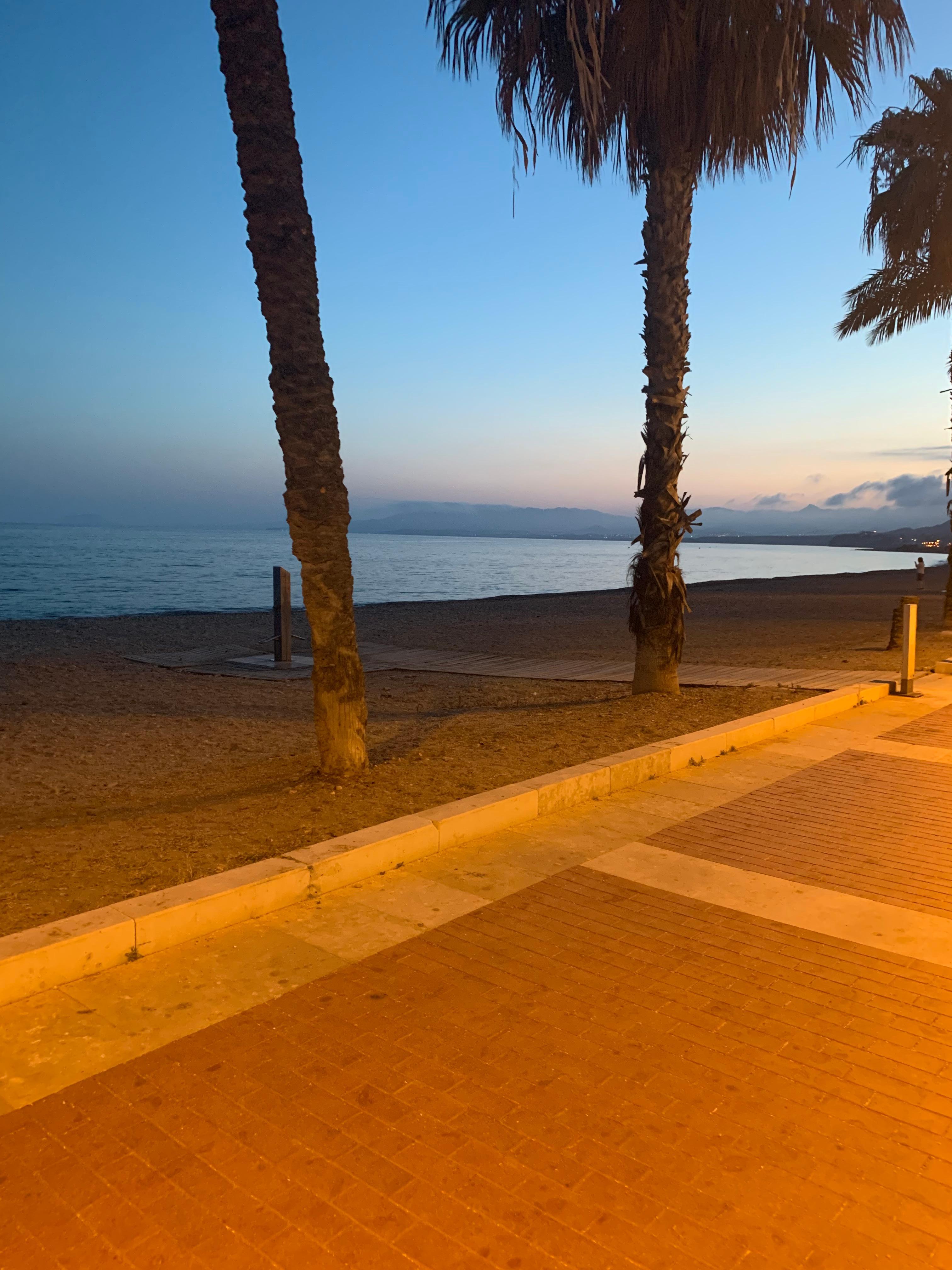 Outside the rear of the hotel at night