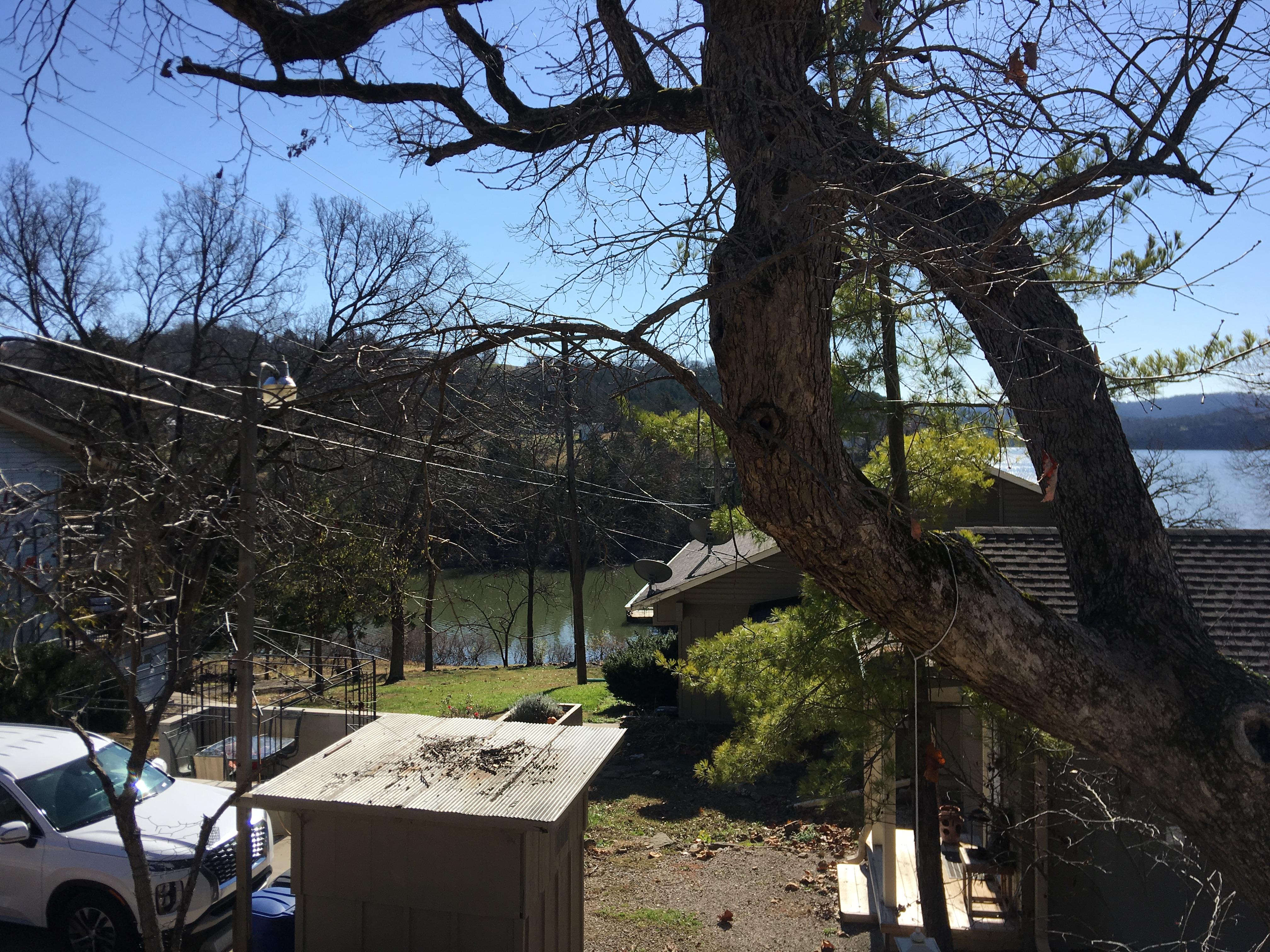 View from Oak cabin 