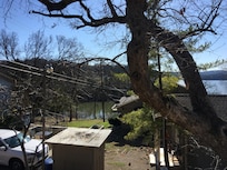 View from Oak cabin
