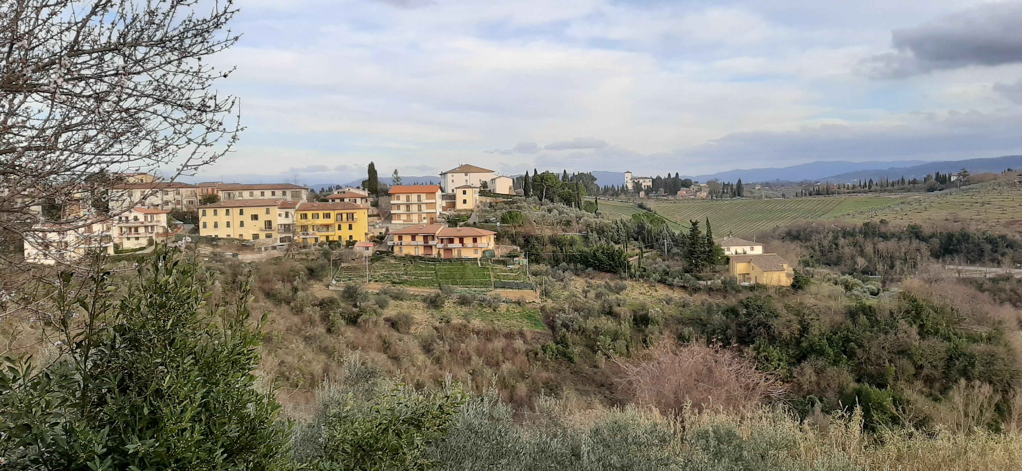 An overview from the backyard of the villa