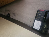 Roach that I killed, nail clipping, dead bug(?) and roach trap. Phone for proof of location.