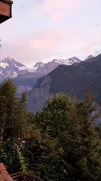 A room with a view
