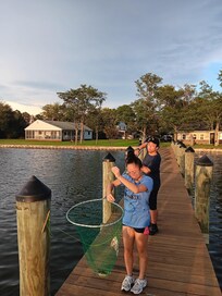 EZ crabbing using strings, net pole, and chicken thigh as bait