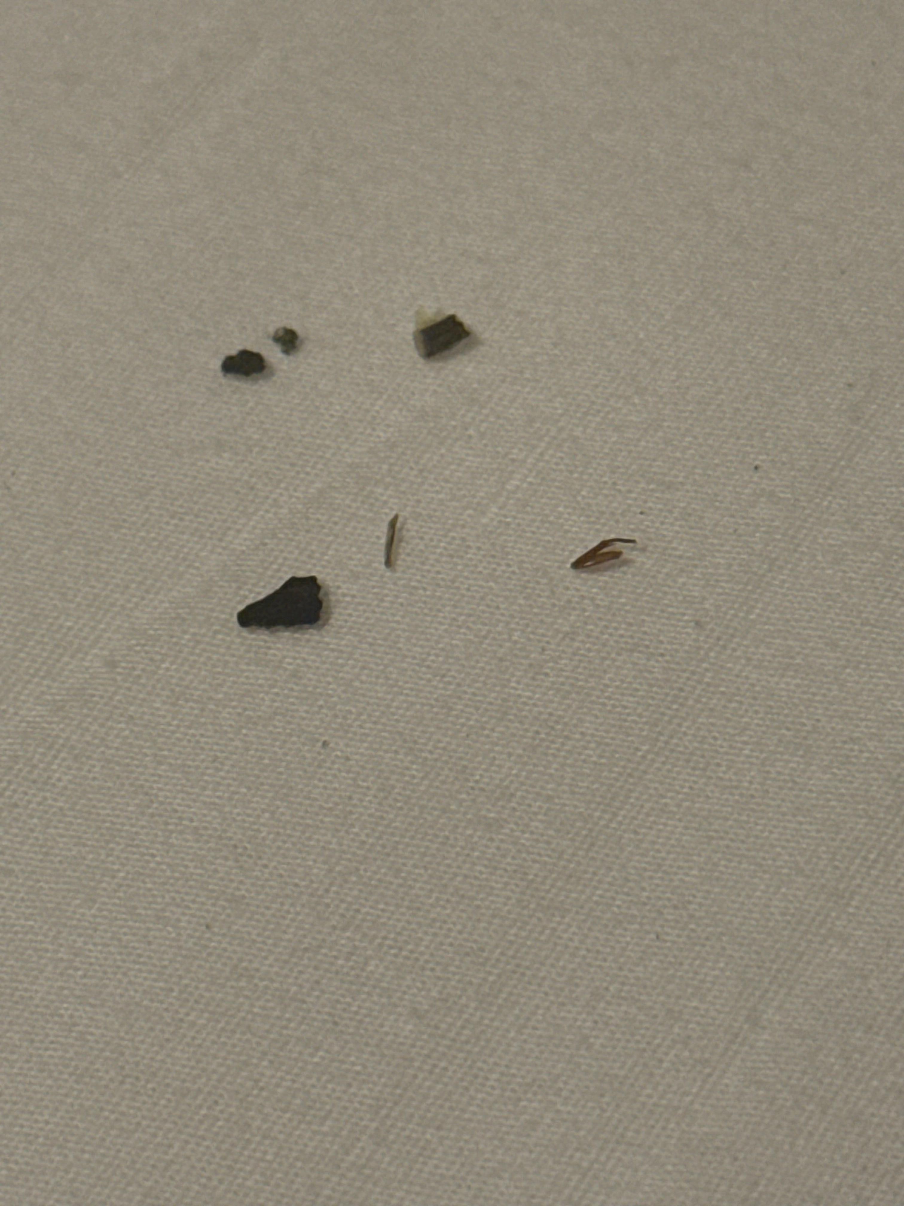 This was found in the bed the first night