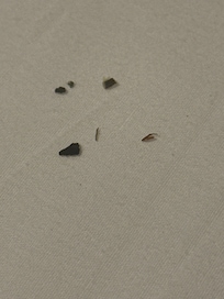 This was found in the bed the first night