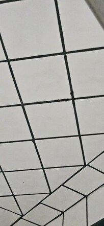 Mold on ceiling tiles above bath, not clean