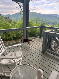 Buttercup loved the covered porch!