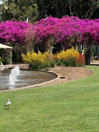Beautiful Arbour at South Bank